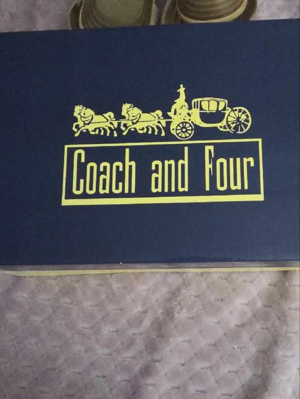 Coach and Four Nude Beaded T-Strap Sandals